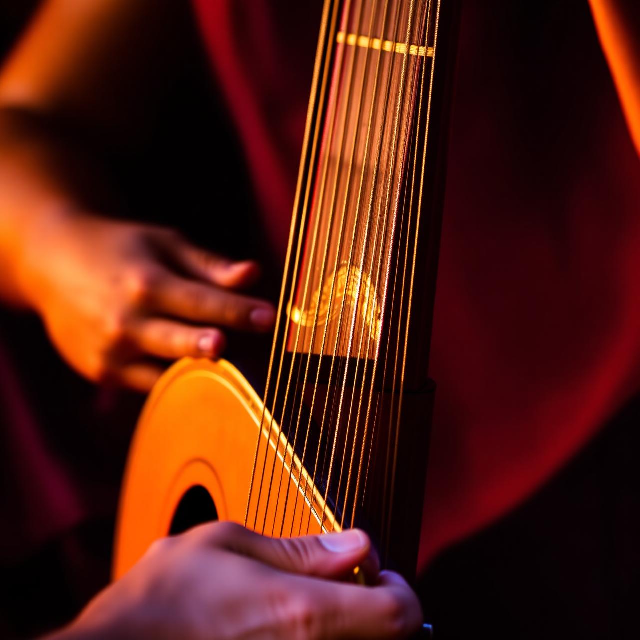 Jayanthi Kumaresh, Saraswati Veena